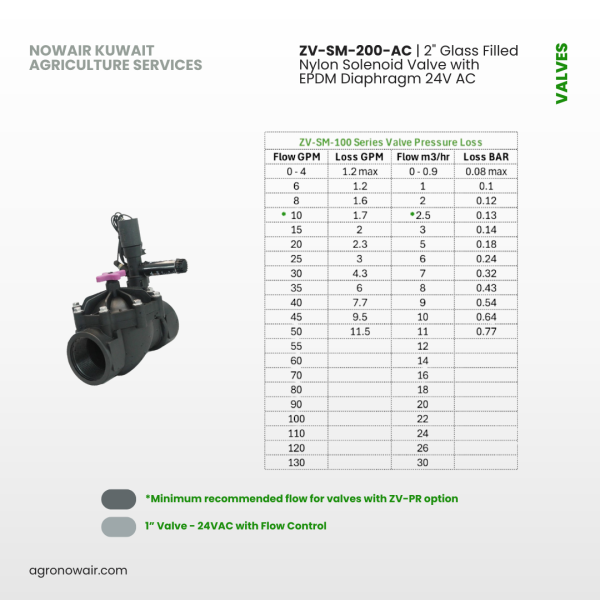 ZV-SM-200-AC | 2" Glass Filled Nylon Solenoid Valve with EPDM Diaphragm 24V AC